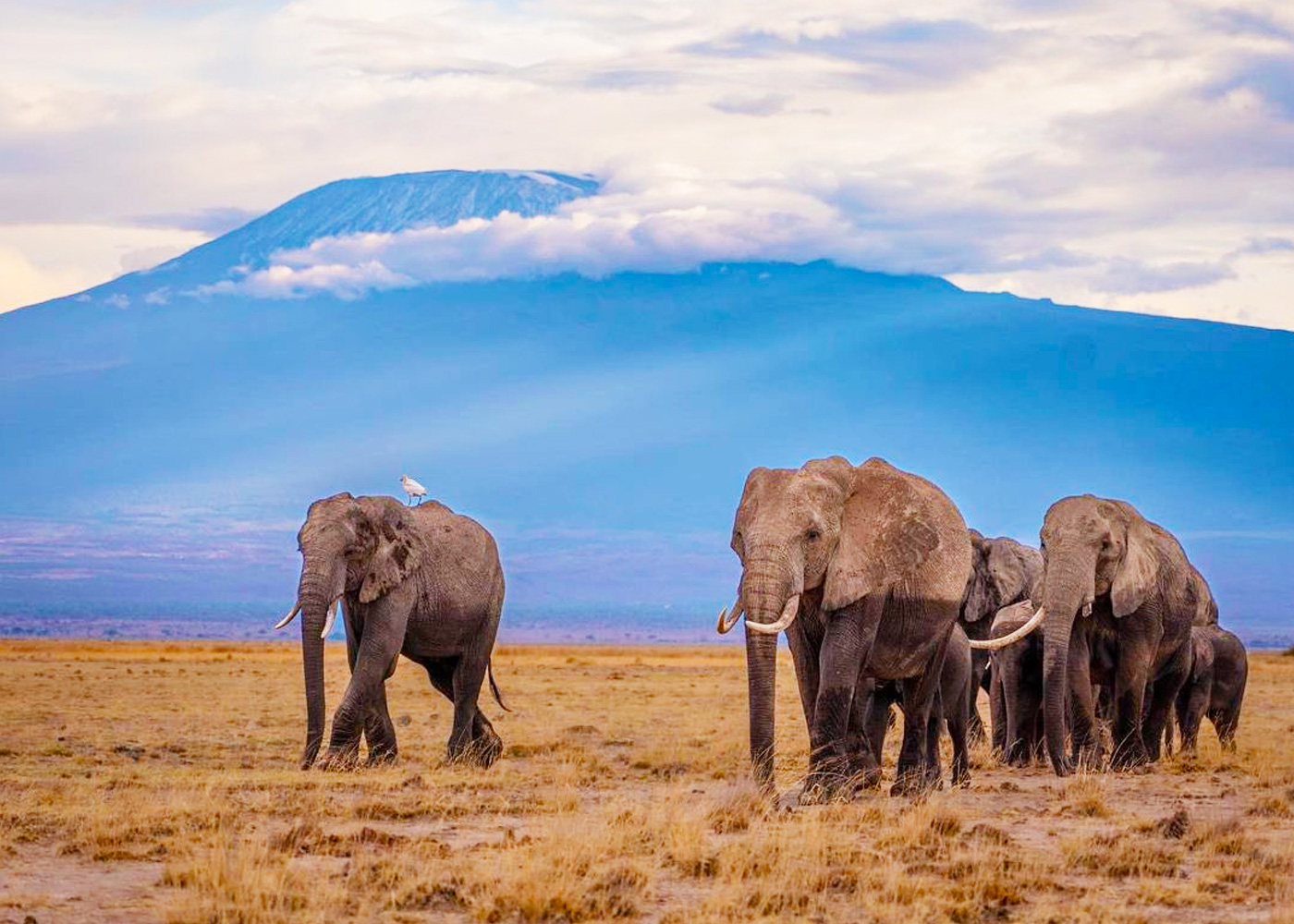 3-days-amboseli-national-park-tour