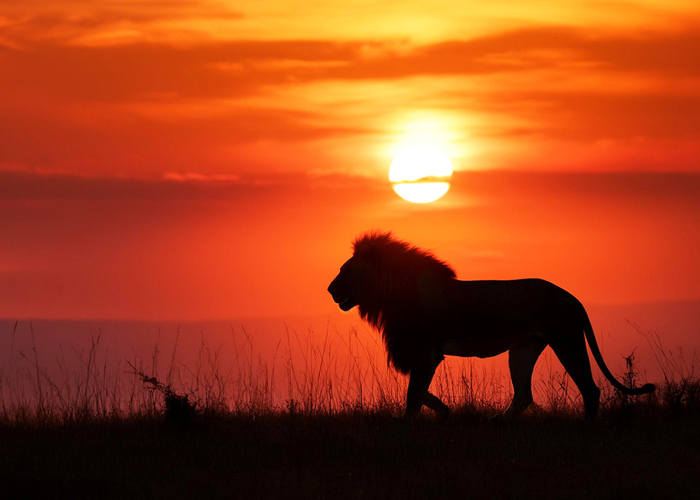 3-days-masai-mara-safari