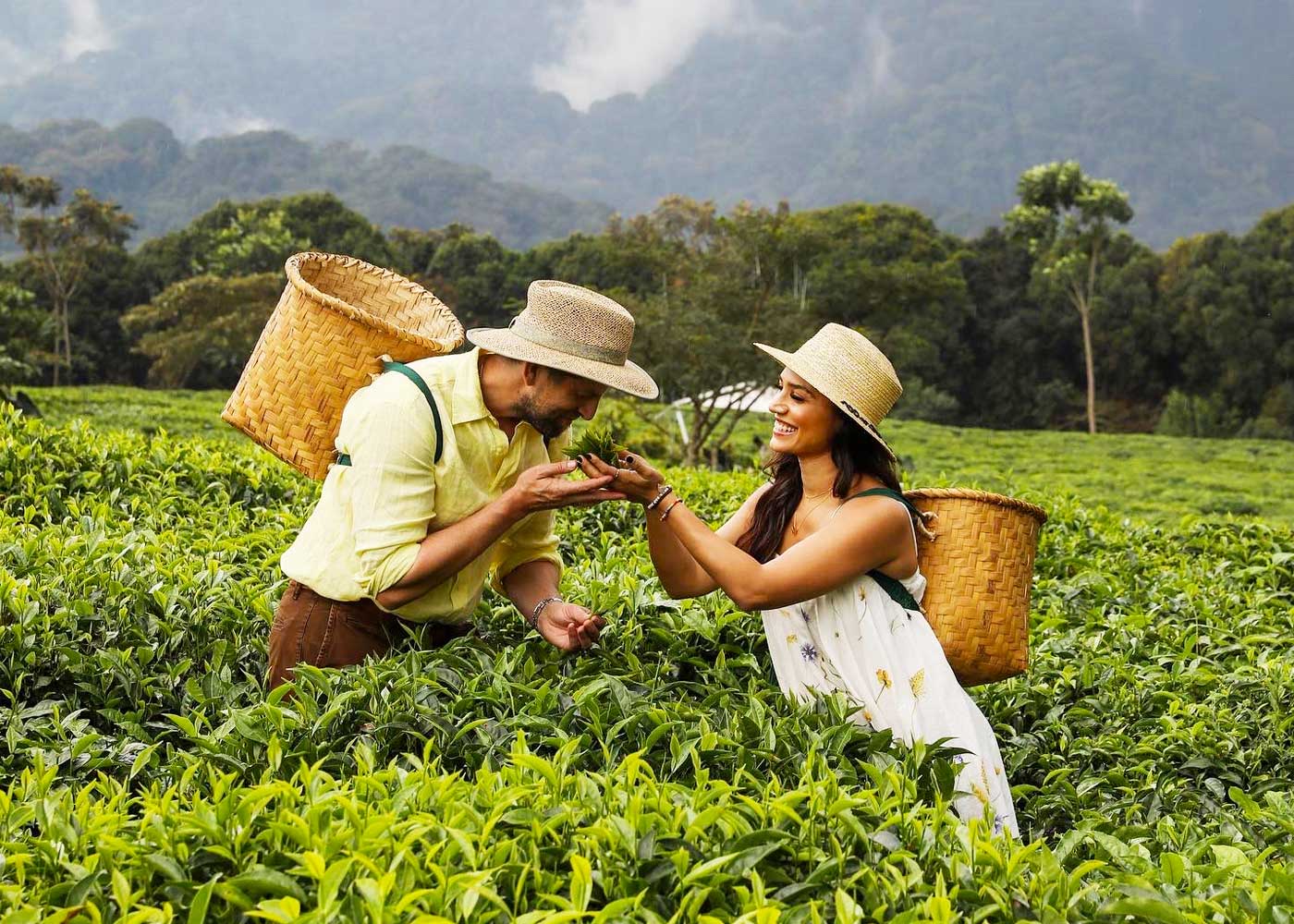 5-days-nyungwe-forest-national-park