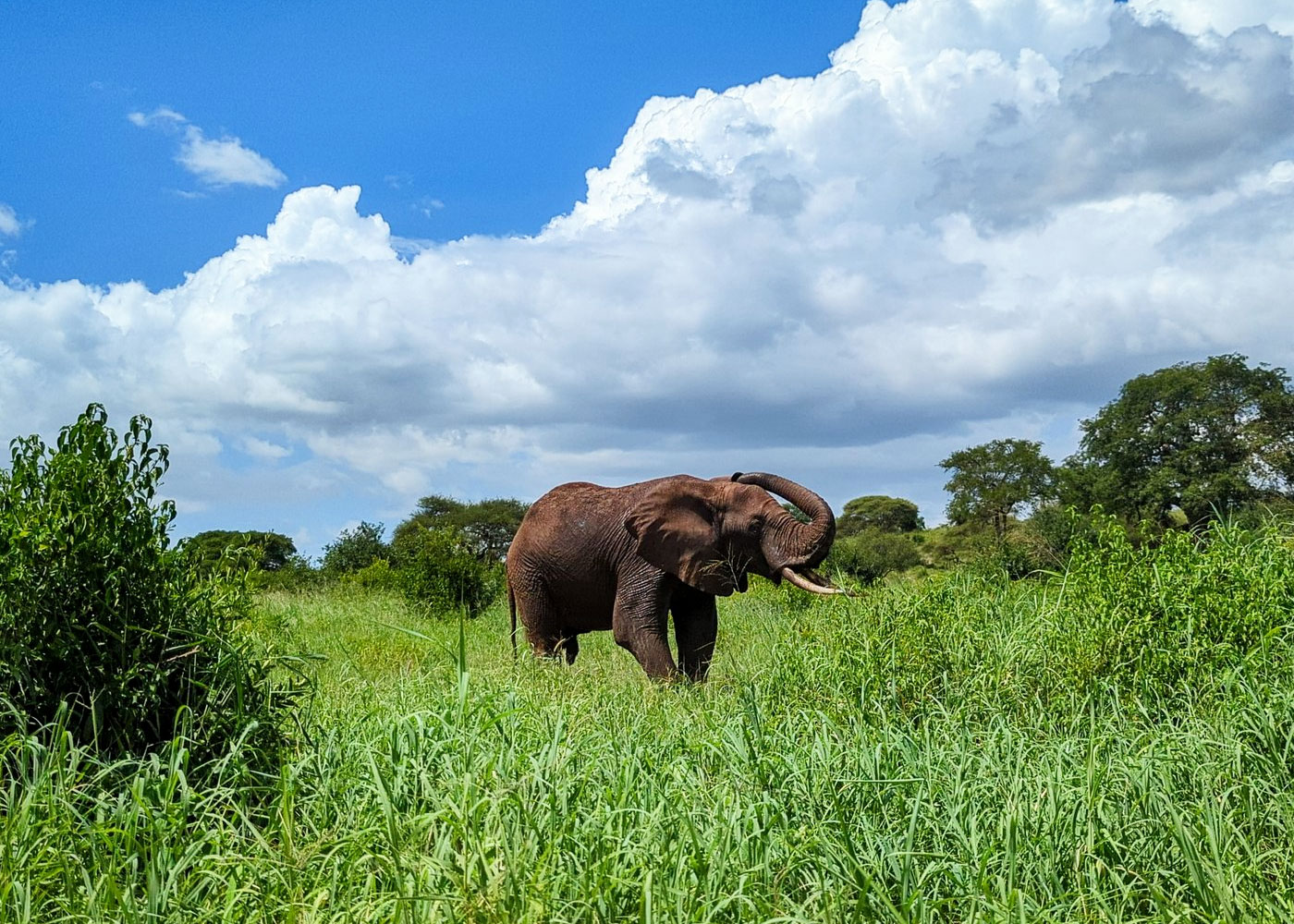 5-days-tarangire-ngorongoro-manyara