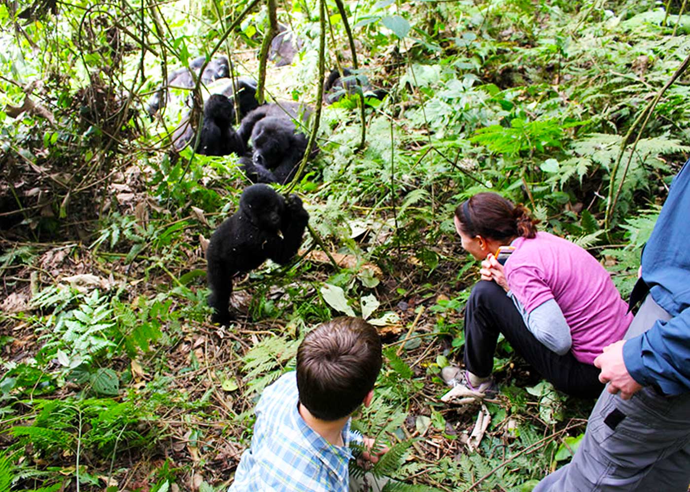 5-days-uganda-primate-safari