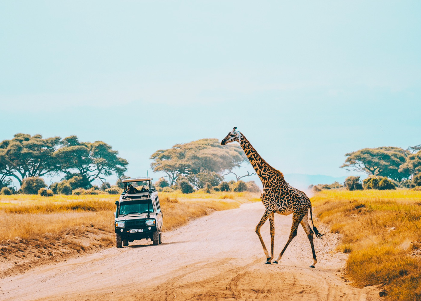 6-days-kenya-wildlife-safari