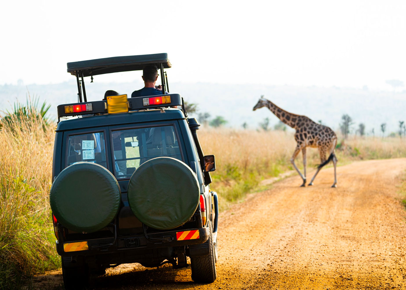 8-days-uganda-wildlife-safari