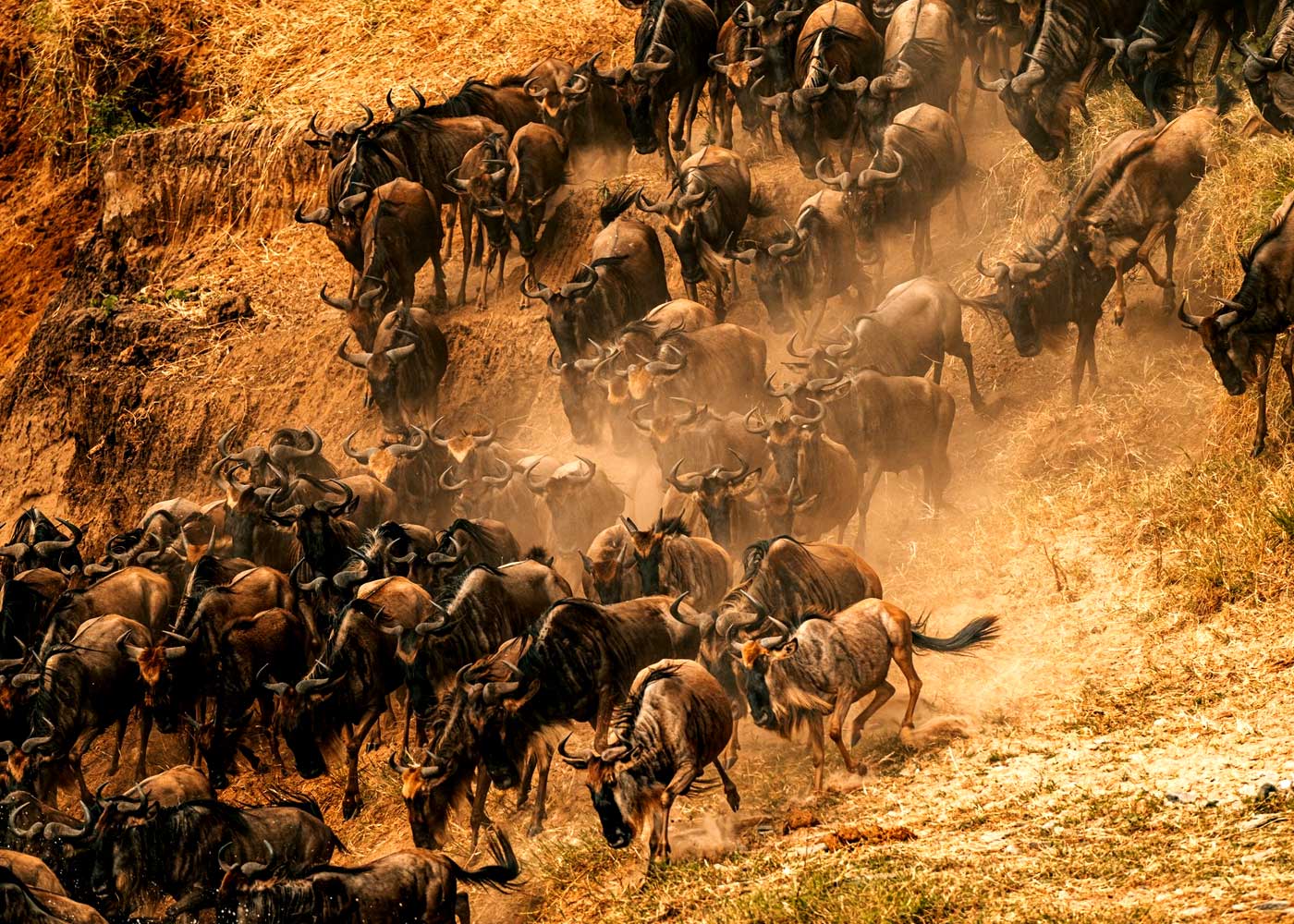 9-days-best-of-kenya-safari